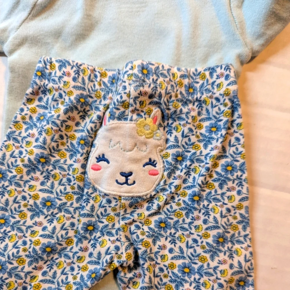 Infant Girls NewBorn Onesies Sets With Pants Set Of 3 New And Like New